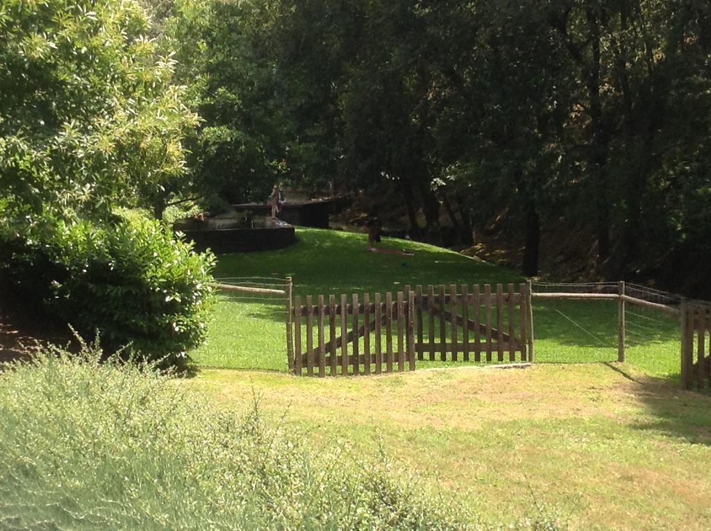 Saberamar Little Country Vila Arouca Exterior foto
